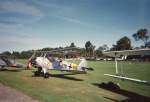 Focke Wulf FW-44  Stieglitz  ...  Torsten Klose 08.09.2008