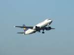 Ein Airbus ...  Andreas Mack 29.12.2008