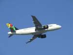 Ein Afriqiah Airbus A ...  Andreas Mack 03.01.2009