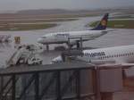 Boeing 737-300 von Lufthansa ...  Simon Keller 05.01.2009