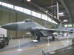 NVA/Bundeswehr Mig-29A 29+03 im ...  Frank Maczkowicz 07.02.2009