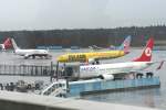 Turkish Airlines B 737-8F2(WL) ...  Frank Maczkowicz 13.03.2009