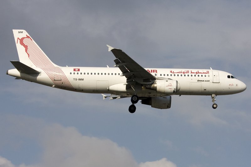Tunisair, TS-IMM, Airbus, A320-211, 14.02.2009, GVA, Geneve, Switzerland