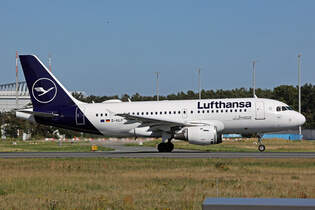 Lufthansa, D-AILF, Airbus A319-114, msn: 636,  Neumarkt I.d.