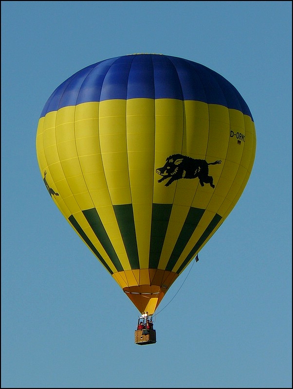. (D-ORMO), Heiluftballon fotografiert bei der Mosel Ballon Fiesta in Trier-Fhren am 21.08.2010.