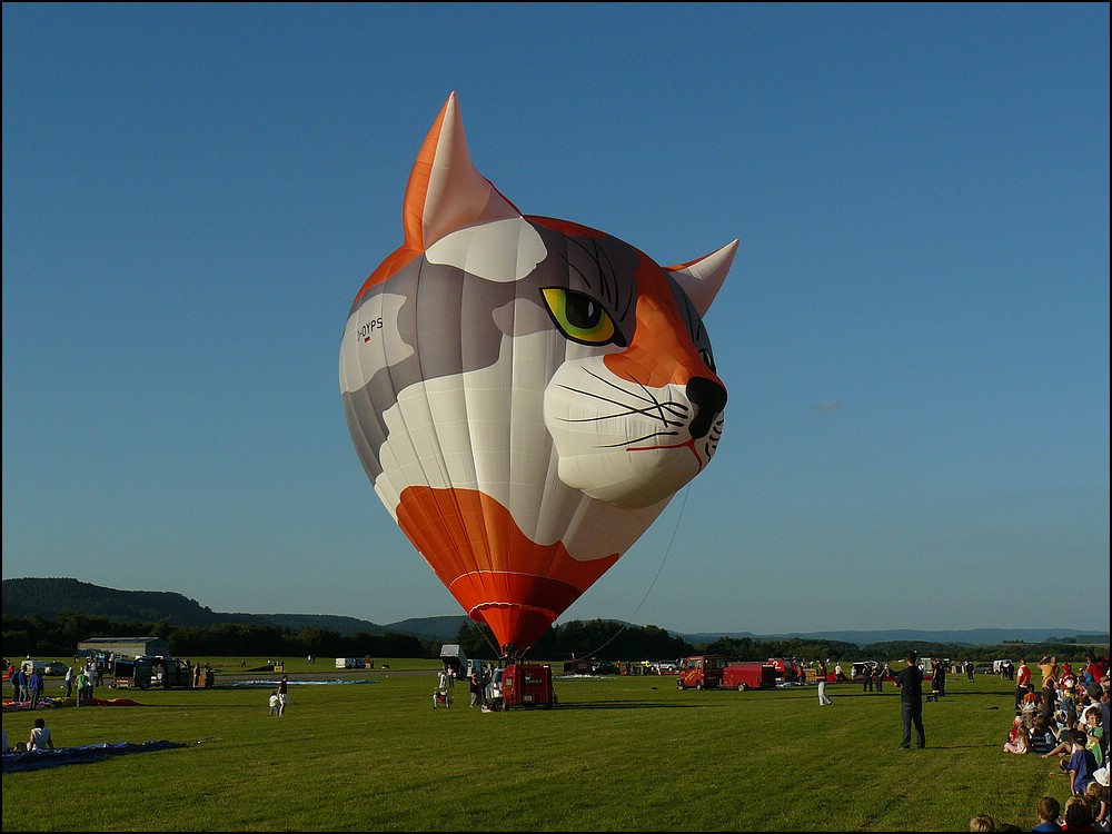 . (D-OYPS) Bei der Mosel Ballon Fiesta am 21.08.10 in Trier-Fhren werden noch die letzten Kontrollen durchgefrt und gleich wird der Fuchs abheben.