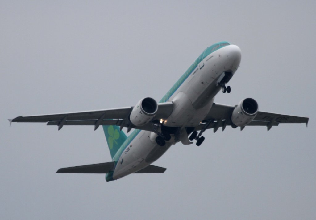 Aer Lingus, EI-EDS  St.Malachy - Maolmhoadhog , Airbus, A 320-200, 11.03.2013, DUS-EDDL, Dsseldorf, Germany 