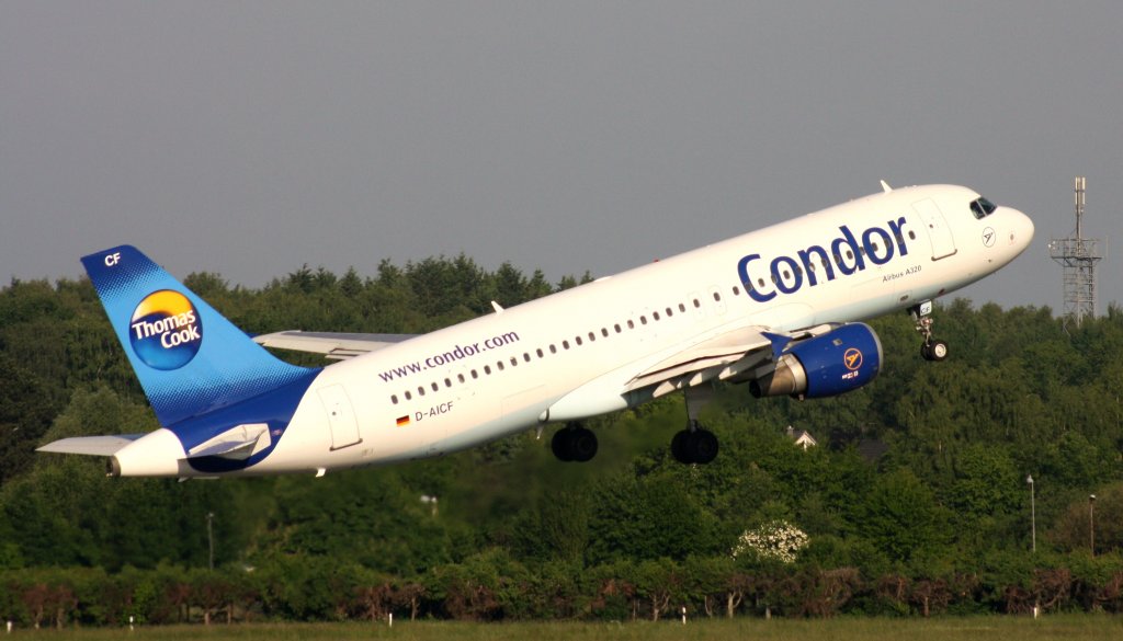 Condor Berlin,D-AICF,(c/n905),Airbus A320-212,08.06.2013,HAM-EDDH,Hamburg,Germany