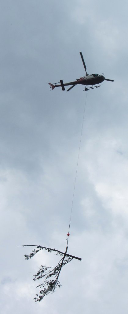 Dieser Helikopter wird derzeit bei Brixlegg fr Holzarbeiten eingesetzt. Er transportiert gerade einen Baum zum Landeplatz.(24.5.2012)