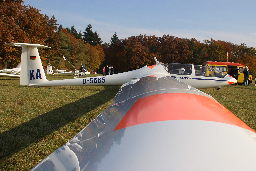 Eine DG-500 (Kennung D-5565) des Flugsportverein Karlsruhe auf dem Flugplatz Karlsruhe-Forchheim am 01.11.10