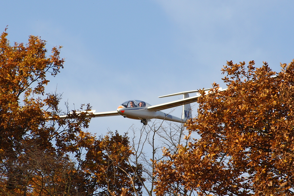 Eine DG-500 kommt hinter den herbstlichen Bumen beim Flugplatz Karlsruhe-Forchheim hervor (01.11.10)