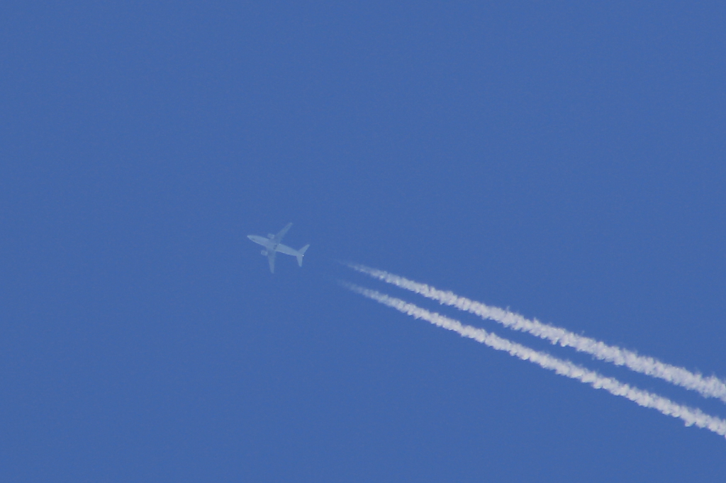 Eine Germania-Boeing 737 fliegt in Reiseflughhe ber dem Bodensee (07.08.10)