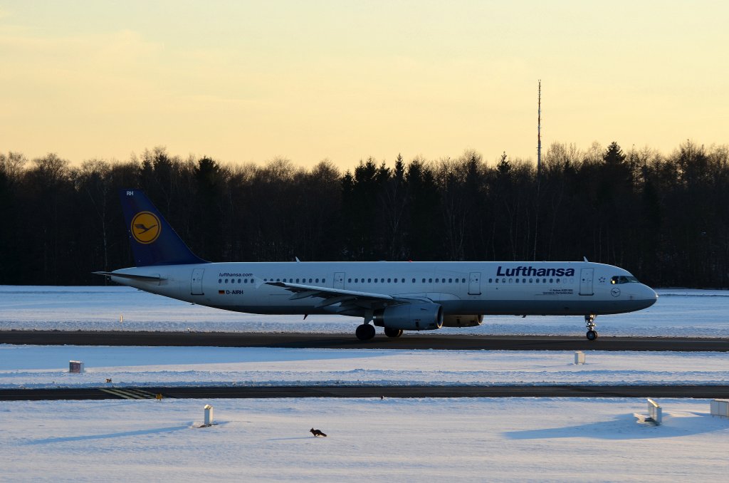 Gut das der Fuchs nicht vor dem in Hamburg Startenden Lufthansa Airbus A321-100 D-AIRH Garmisch-Partenkirchen auf die Startbahn gelaufen ist aufgenommen am 12.03.13