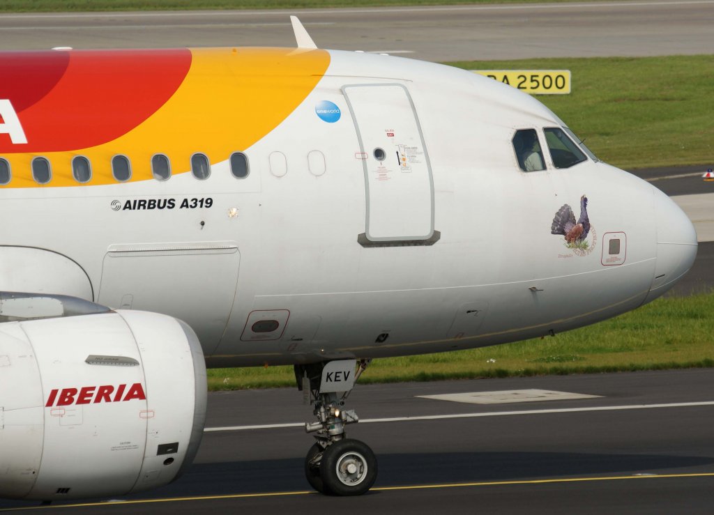 Iberia, EC-KEV, Airbus A 319-100 (Urogallo = geschtzte Vogelart), 2010.09.23, DUS-EDDL, Dsseldorf, Germany 


