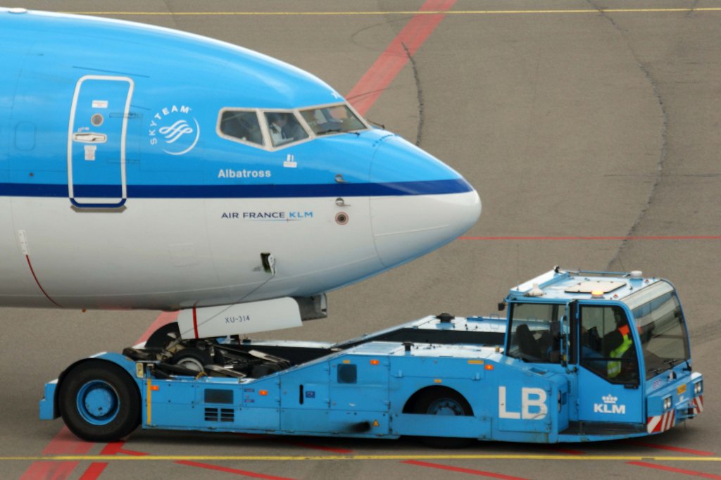 KLM Royal Dutch Airlines, PH-BXU  Albatros - Albatross , Boeing, 737-900 wl (Bug/Nose), 25.05.2012, AMS-EHAM, Amsterdam (Schiphol), Niederlande 

