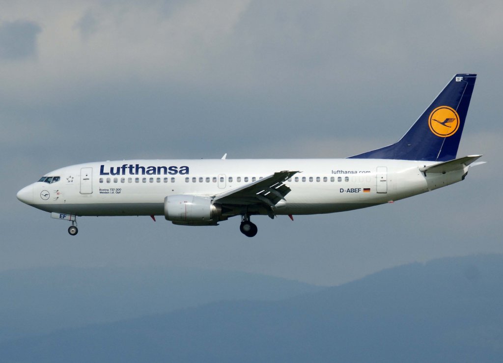 Lufthansa, D-ABEF  Weiden i.d. Oberpfalz , Boeing 737-300, 10.09.2011, FRA-EDDF, Frankfurt, Germany