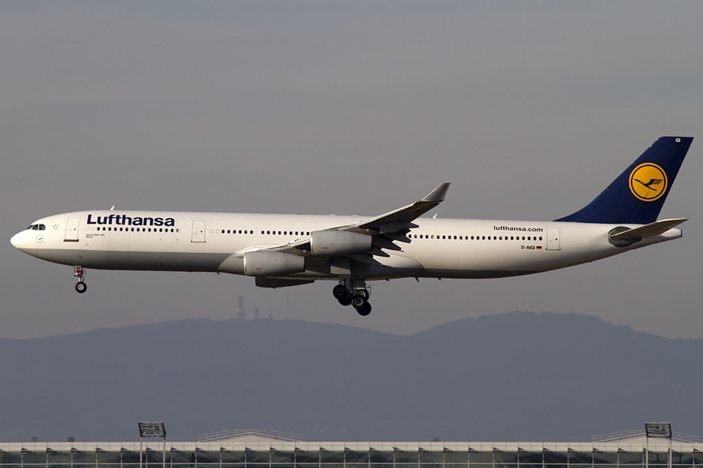 Lufthansa, D-AIGI, Airbus, A340-311, 09.02.2011, FRA, Frankfurt, Germany 





