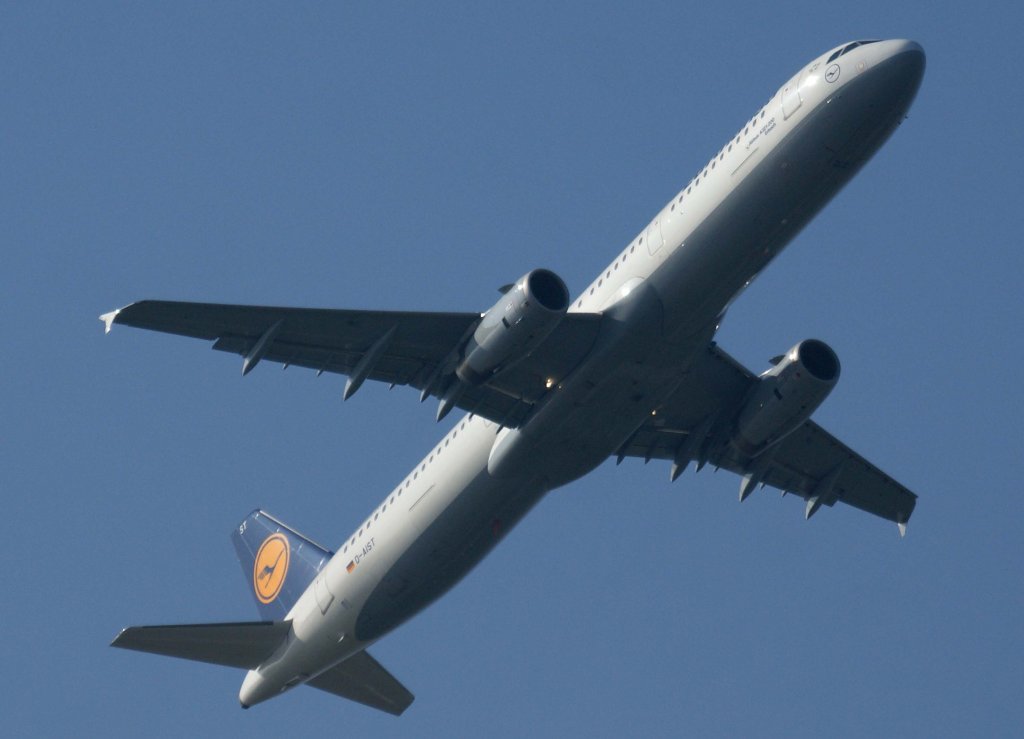 Lufthansa, D-AIST, Airbus A 321-200  Erbach  (Sticker-lufthansa.com), 2010.10.13, FRA-EDDF, Frankfurt, Germany 

