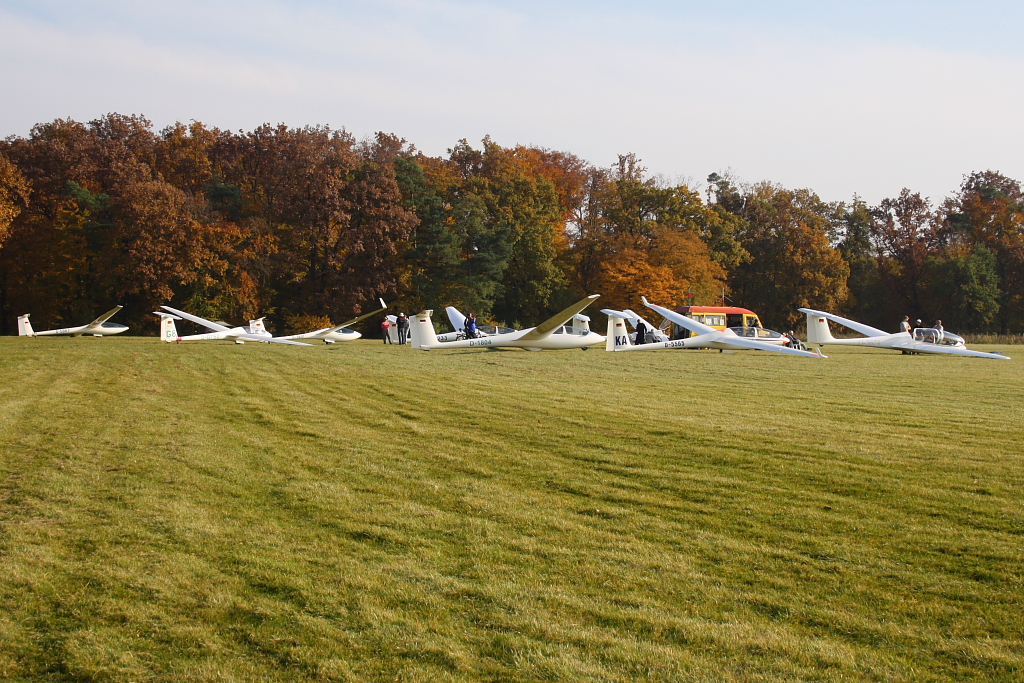 Mehrere Segelflugzeuge auf dem Flugplatz Karlsruhe-Forchheim am 01.11.10