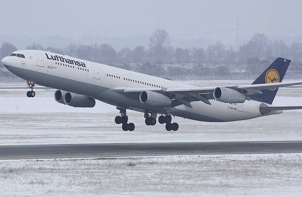 Nahaufnahme von D-AIGO (Airbus A340-313X)  Offenbach  beim Start in DUS. 04.01.2010.