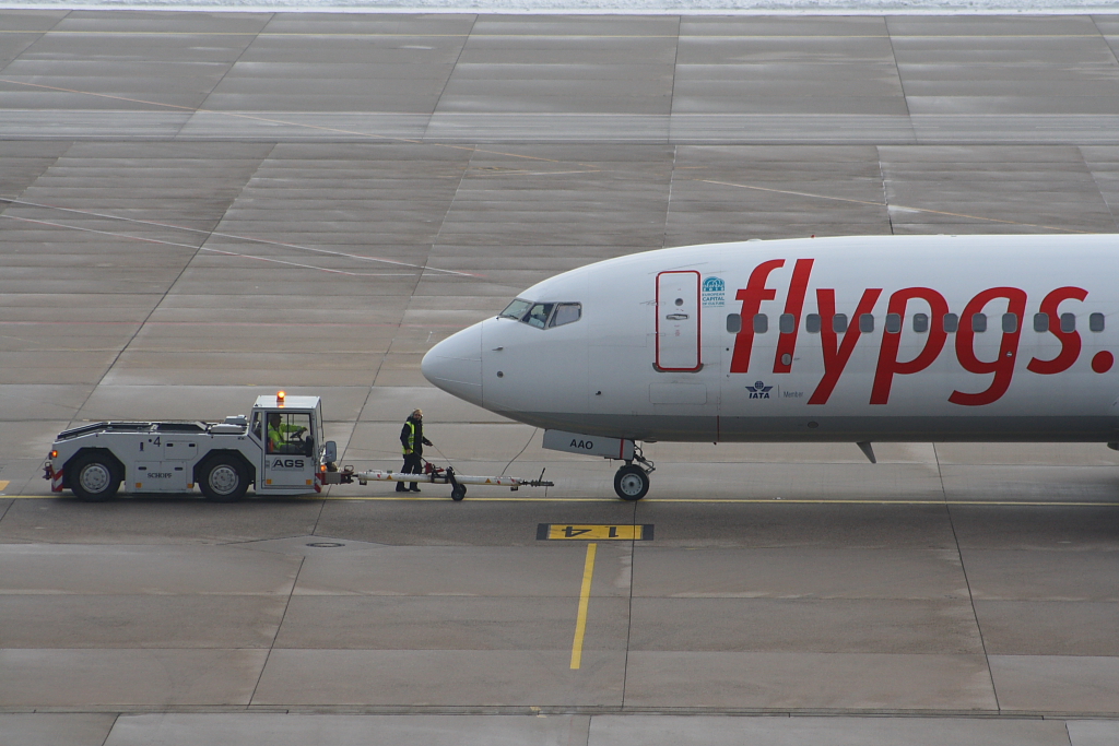 Pegasus Airlines 
Boeing 737-86N 
TC-AAO 
Stuttgart
28.11.10