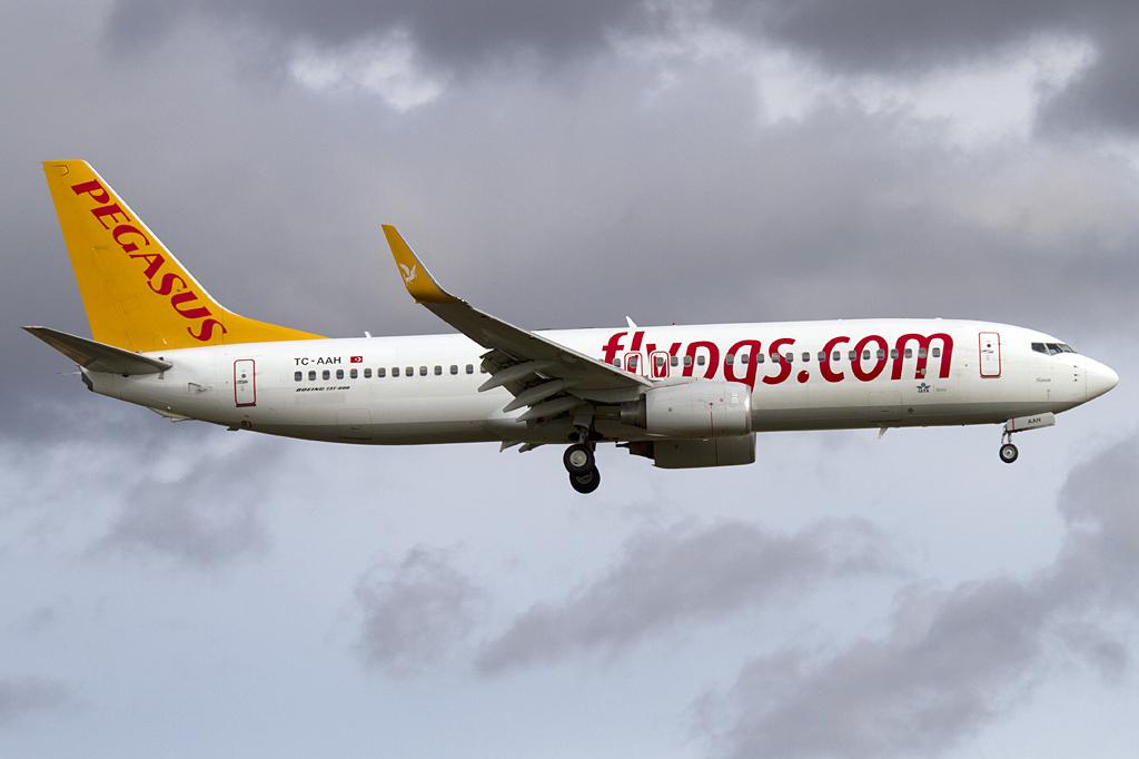 Pegasus Airlines, TC-AAH, Boeing, B737-82R, 15.01.2011, ZRH, Zuerich, Switzerland 



