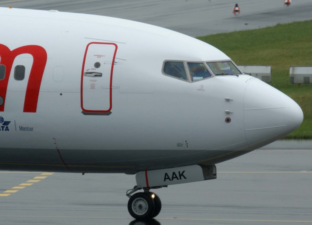 Pegasus Airlines, TC-AAK, Boeing 737-800 WL (Bug/Nose), 20.06.2011, DUS-EDDL, Dsseldorf, Germany 

