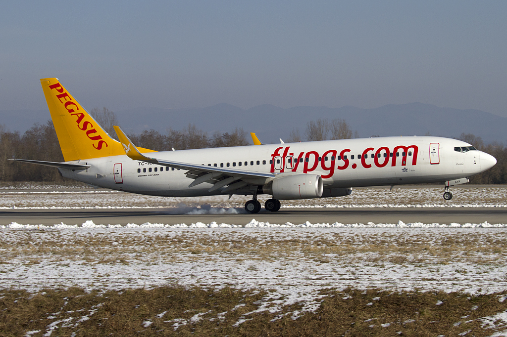 Pegasus Airlines, TC-AAY, Boeing, B737-82R, 23.01.2011, BSL, Basel, Switzerland 



