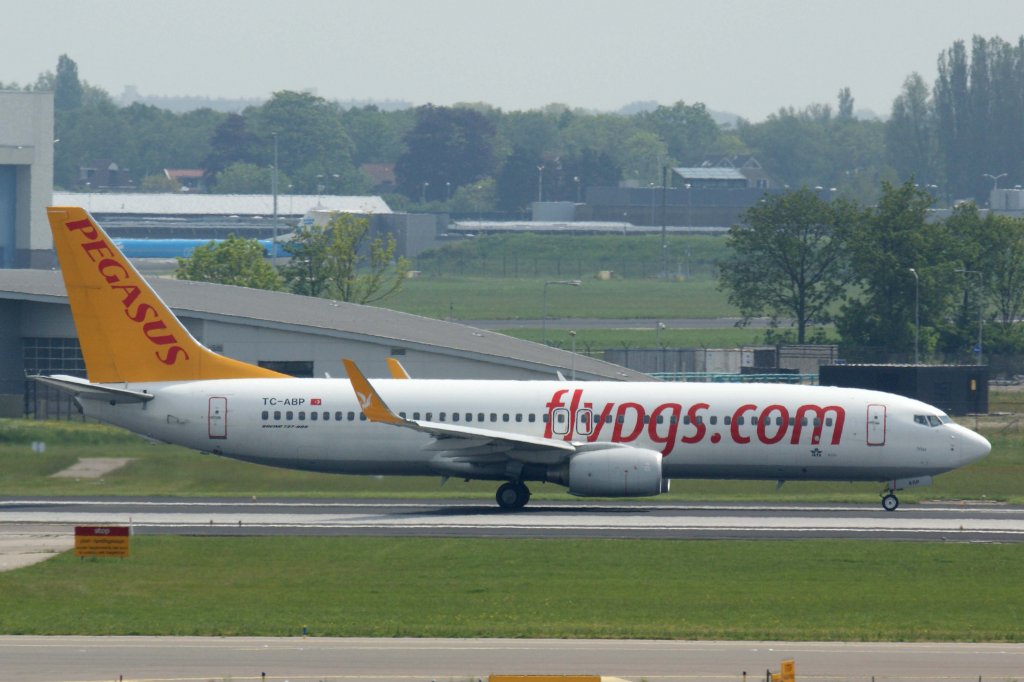 Pegasus Airlines, TC-ABP  Nisa , Boeing, 737-800 wl, 25.05.2012, AMS-EHAM, Amsterdam (Schiphol), Niederlande 