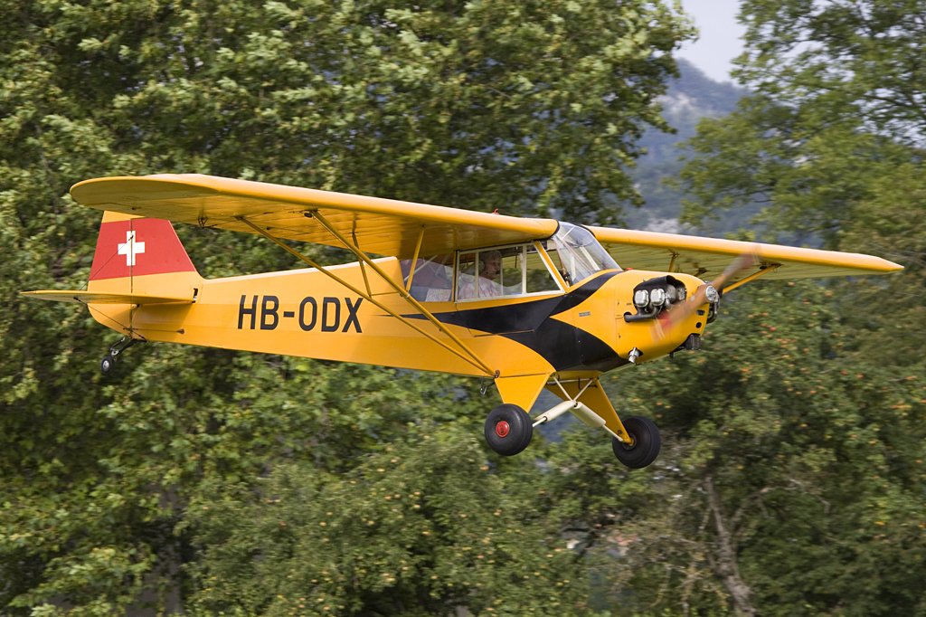 Private, HB-ODX, Piper, L4J Cub, 22.08.2009, Kestenholz, Switzerland 

