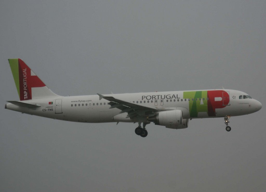 TAP Portugal, CS-TNS, Airbus A 320-200 (D. Afonso Henriques), 2010.01.19, FRA, Frankfurt, Germany