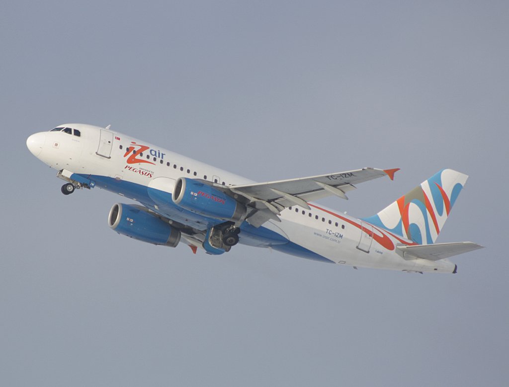TC-IZM (Airbus A319-132) an diesem Tag fr PGT in DUS. 04.01.2010.