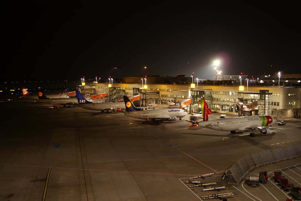 Viel los am am Dsseldorfer Flughafen am 01.11.2011. Unter anderem zu sehen sind Lufthansa, Tap Portugal, SAS und Austrian Airways.