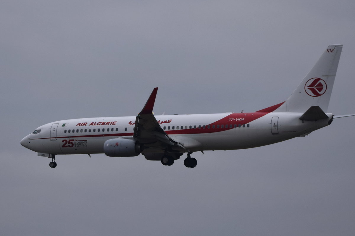 7T-VKM Air Algérie Boeing 737-8D6(WL)  , FRA , 06.12.2017