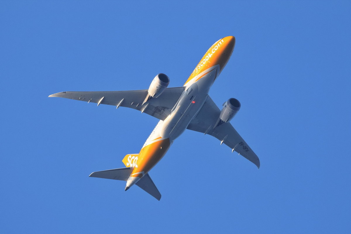 9V-OFH Scoot Boeing 787-8 Dreamliner , Anflug Tegel , 02.08.2019