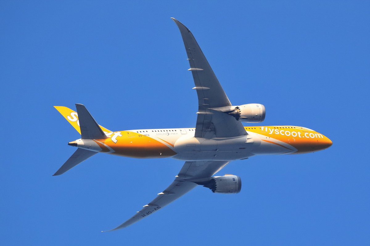 9V-OFH Scoot Boeing 787-8 Dreamliner , Anflug Tegel , 02.08.2019