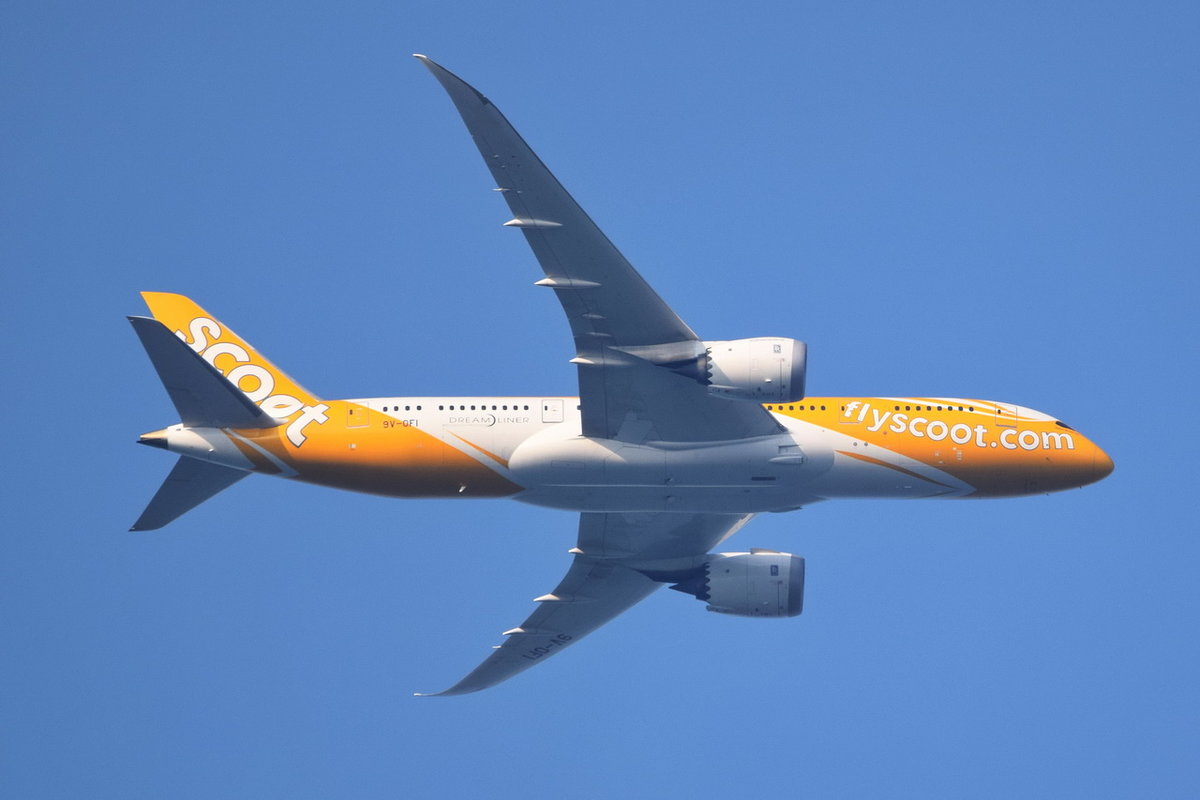 9V-OFI Scoot Boeing 787-8 Dreamliner , 29.07.2019 , Anflug Tegel