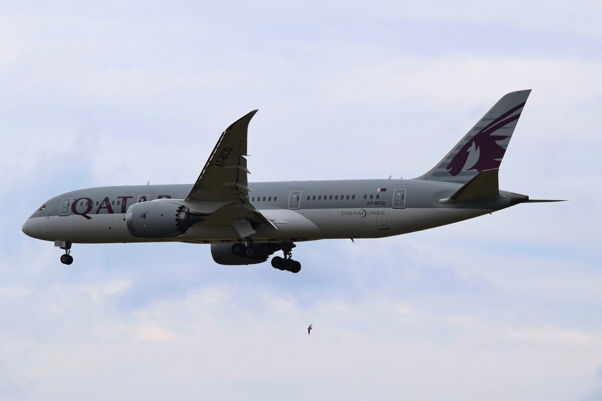 A7-BCQ , Qatar Airways , Boeing 787-8 Dreamliner , 12.06.2021 , Berlin-Brandenburg  Willy Brandt  , BER , 