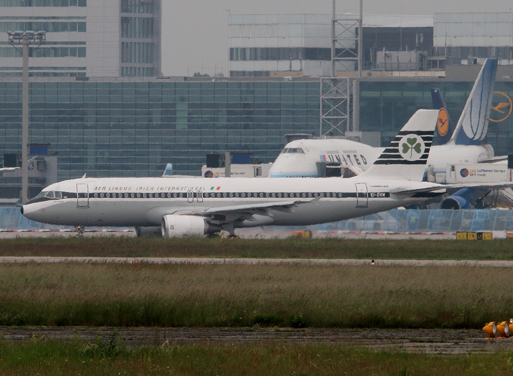 Aer Lingus  Retro  A 320-214 EI-DVM am 11.06.2013 auf dem Flughafen Frankfurt