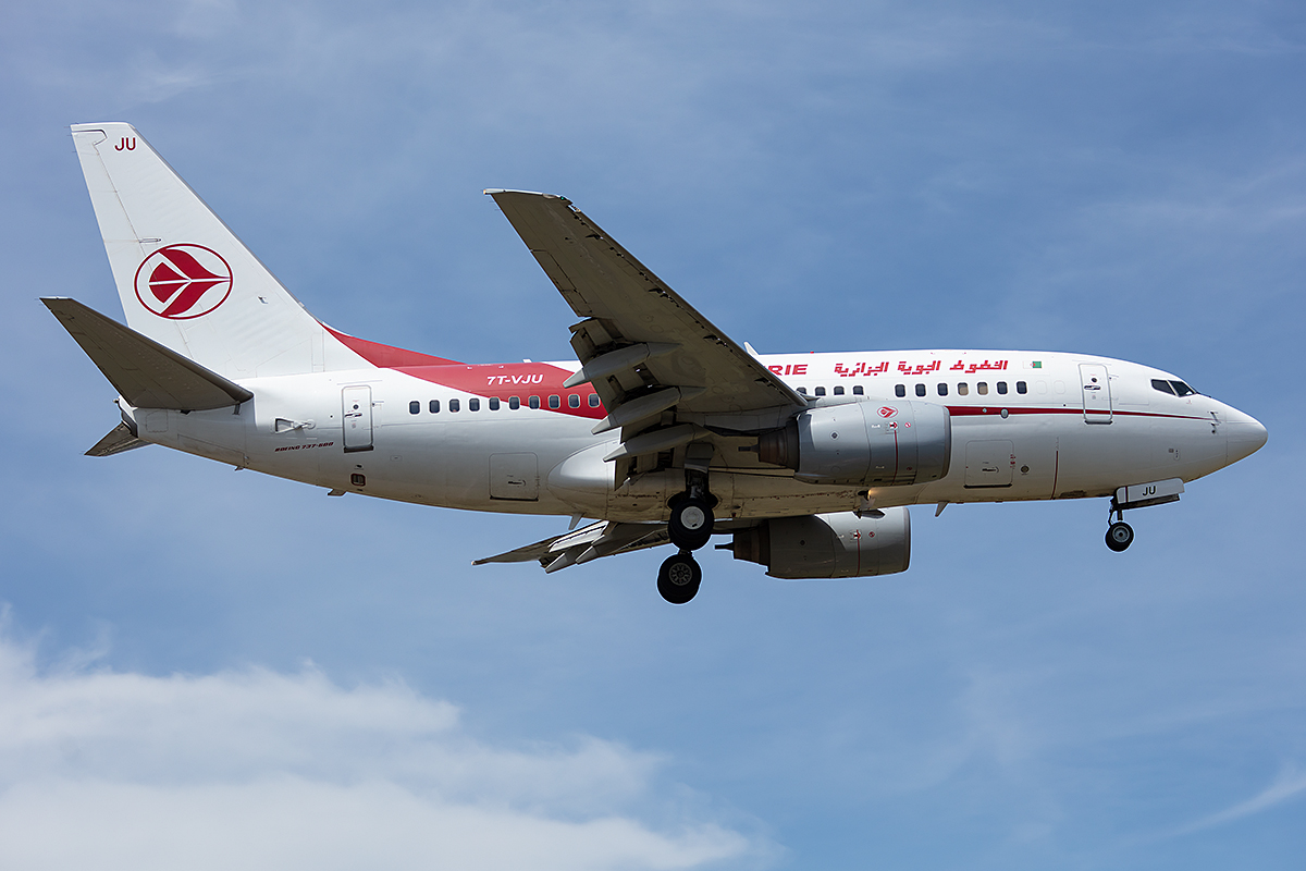 Air Algerie, 7T-VJU, Boeing, B737-8D6, 01.08.2019, GVA, Geneve, Switzerland




