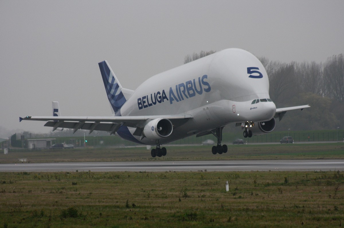 Airbus Transport International, F-GSTF, (c/n 796),Airbus A 300B4-608ST, 12.11.2014, XFW-EDHI, Hamburg-Finkenwerder, Germany (Beluga 5)