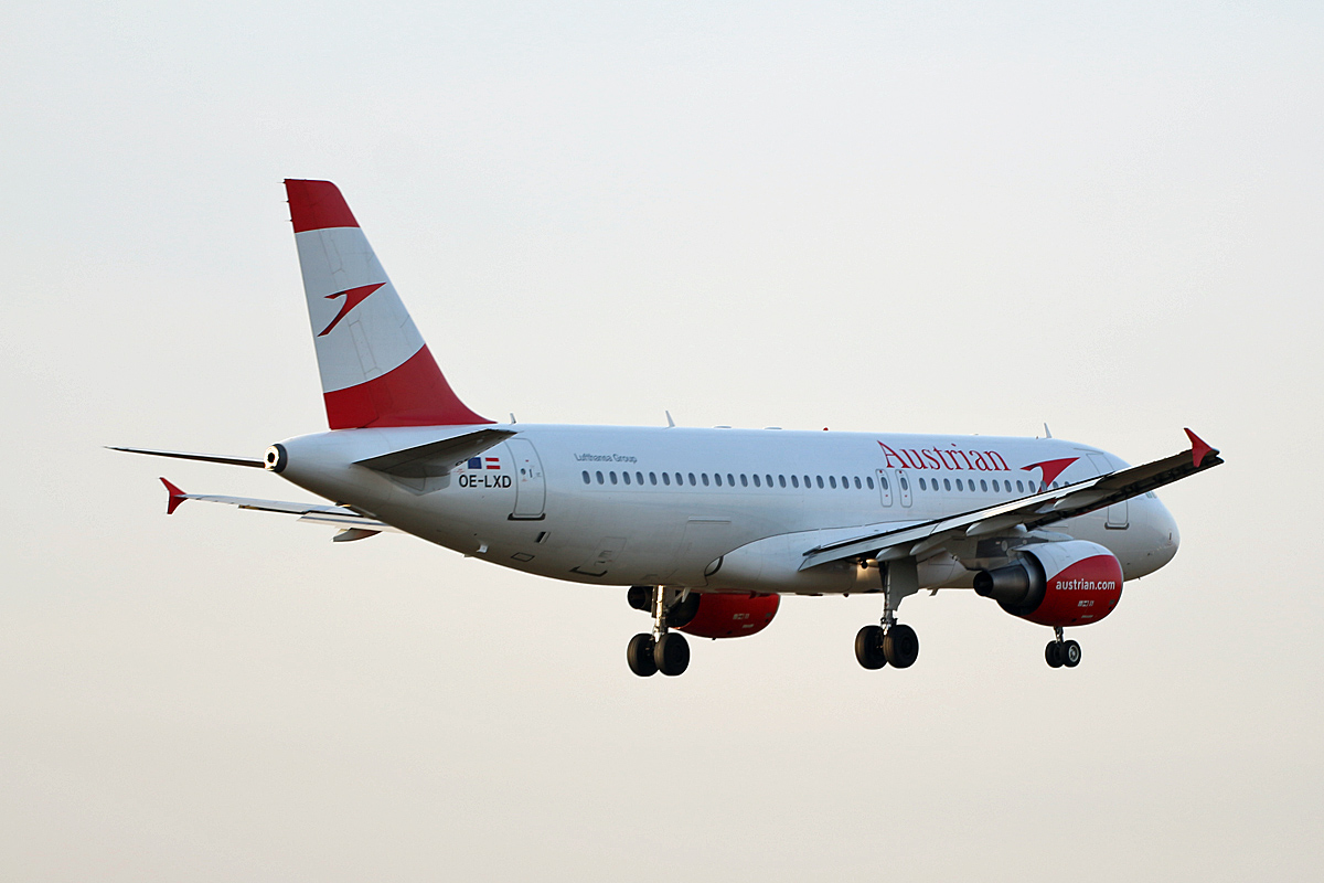 Austrian Airlines, Airbus A 320-216, OE-LXD, TXL, 17.02.2019