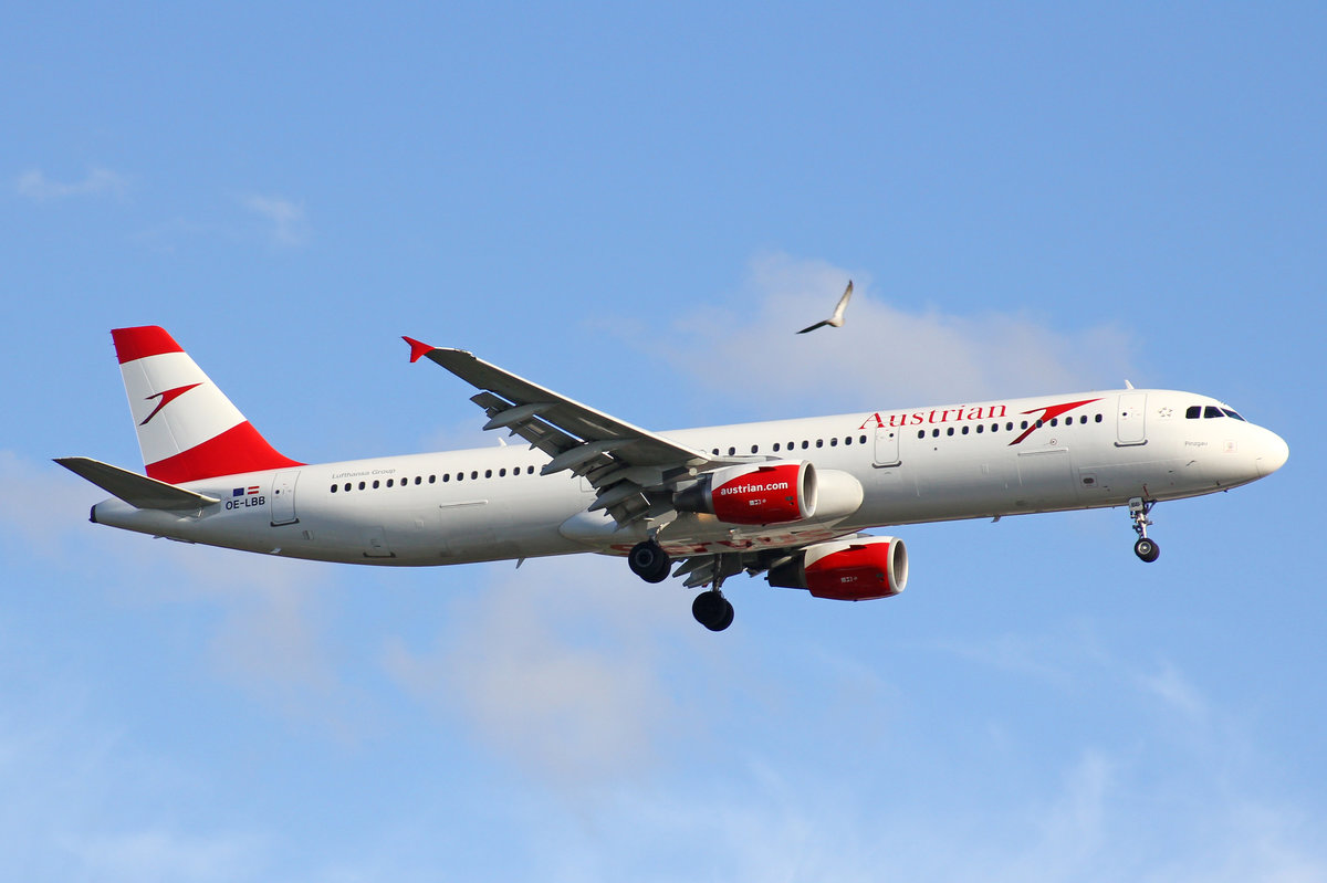 Austrian Airlines, OE-LBB, Airbus A321-111,  Pinzgau , 01.Juli 2016, LHR London Heathrow, United Kingdom.
