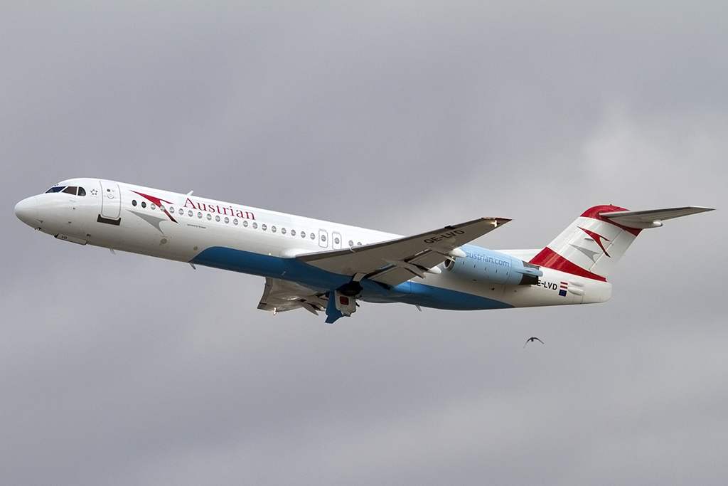 Austrian Arrows, OE-LVD, Fokker, F-100, 23.02.2014, STR, Stuttgart, Germany 




