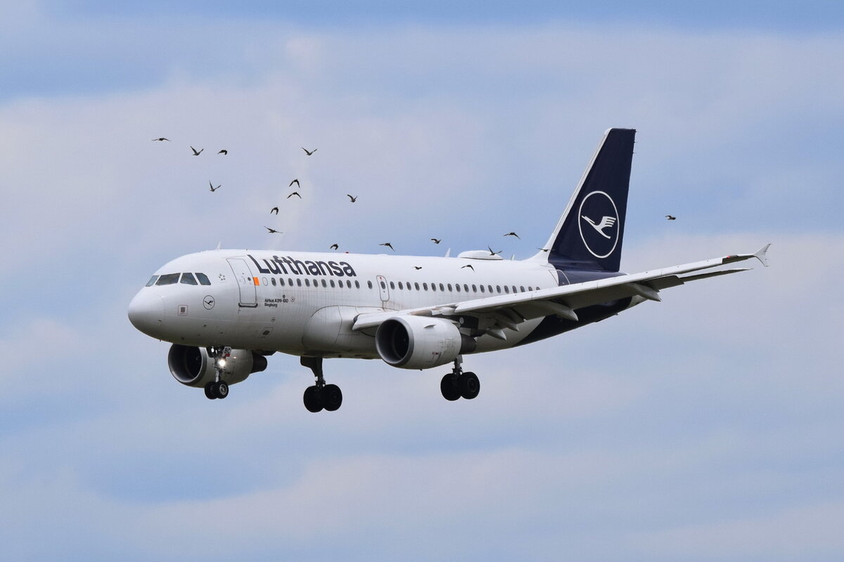 D-AIBC , Lufthansa , Airbus A319-112  Siegburg  , Berlin-Brandenburg  Willy Brandt  , BER , 01.08.2021