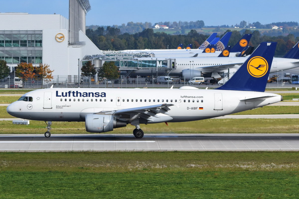 D-AIBF Lufthansa Airbus A319-112  Sinsheim   , MUC , 06.10.2017