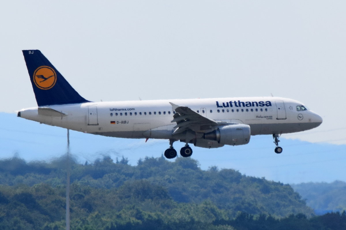 D-AIBJ Lufthansa Airbus A319-112  Lörrach  in Frankfurt beim Landeanflug am 01.08.2016
