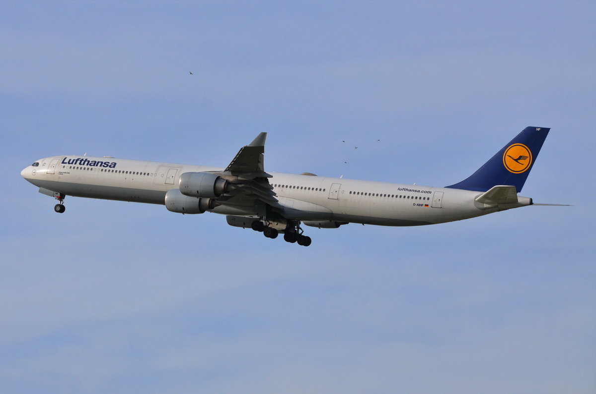 D-AIHF Lufthansa Airbus A340-642  Lübeck  , MUC , 04.10.2017