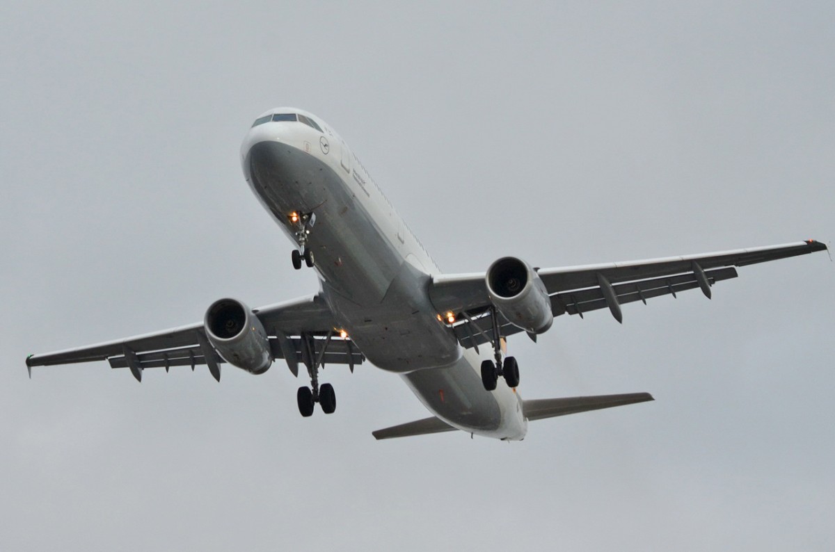 D-AIRK Lufthansa Airbus A321-131  Freudenstadt/Schwarzwald  ,  am 29.01.2015 in Tegel beim Landeanflug