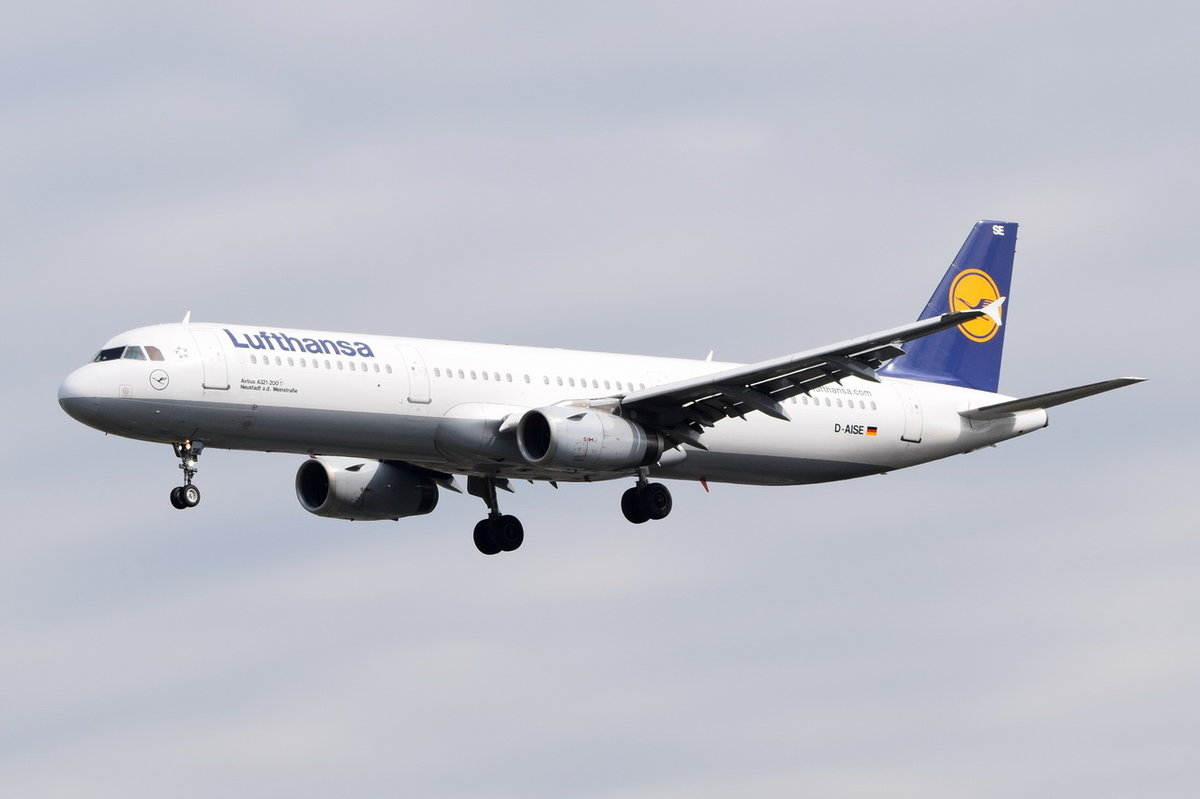 D-AISE Lufthansa Airbus A321-231  Neustadt a. d. Weinstraße   in Frankfurt am 06.08.2016 beim Anflug